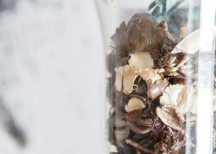 El Mirador Del Campanario By Cadiz4rentals Cádiz