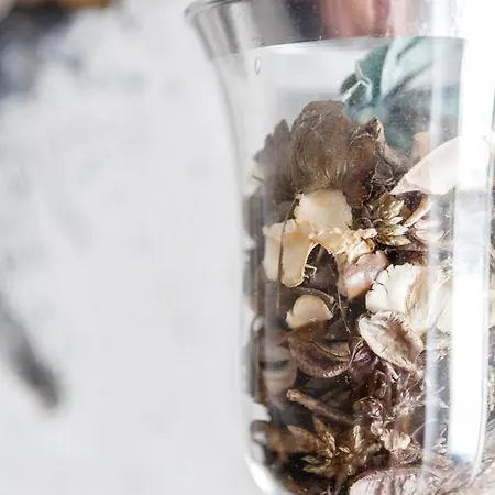 El Mirador Del Campanario By Cadiz4rentals 加的斯